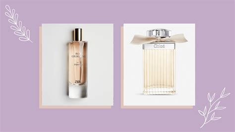 chloé nomade dupe zara